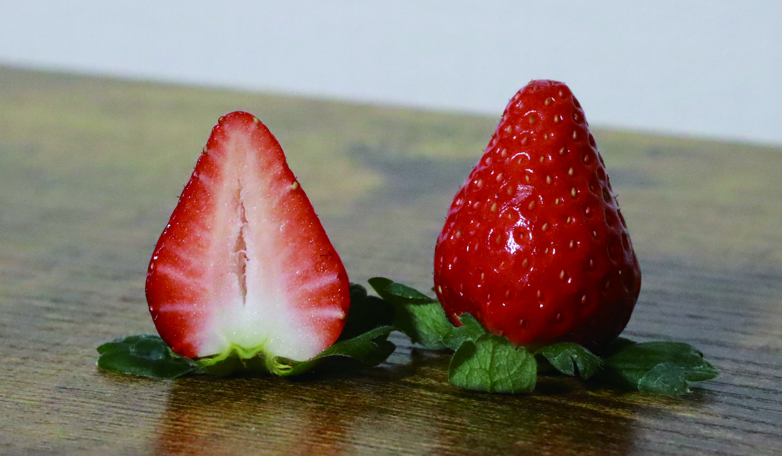 三重県オリジナル新品種いちご「うた乃」デビュー！ - いちご大学