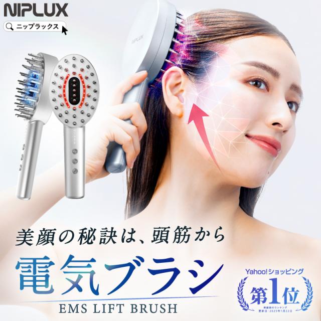 電気ブラシ EMS美顔器 リフトアップ 頭皮ケア ブラシ型 NIPLUX EMS