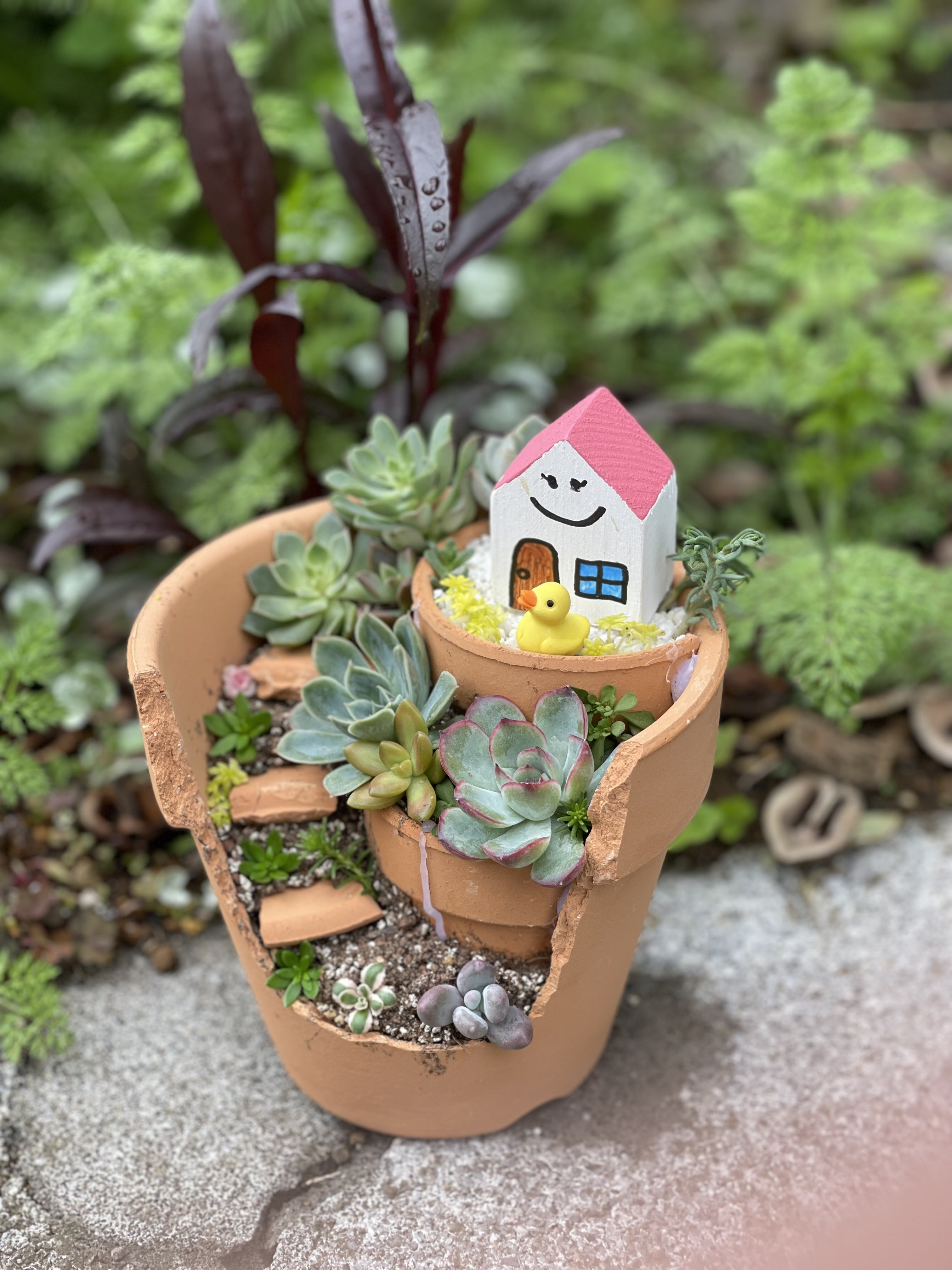 割れ鉢の多肉植物植え | CAINZ DIY Square