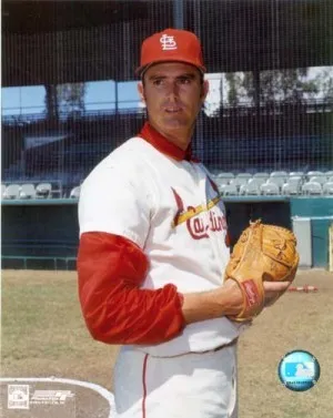 スティーブカールトン - ナムウィキ