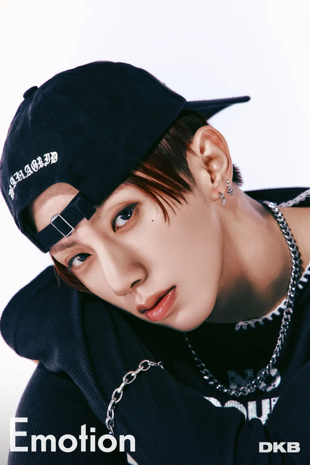 DKB ヘリジュン サイン入り ポラロイド DKB ヘリジュン サイン入り