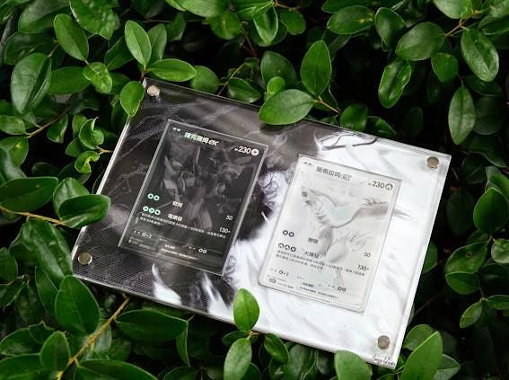 レシラムEX＆ゼクロムEX BWRセット ポケモンカードディスプレイ