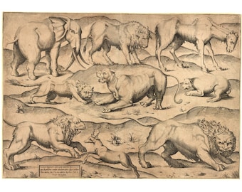 1922 Vintage Mammals Animal Poster. Small French Antique Animal