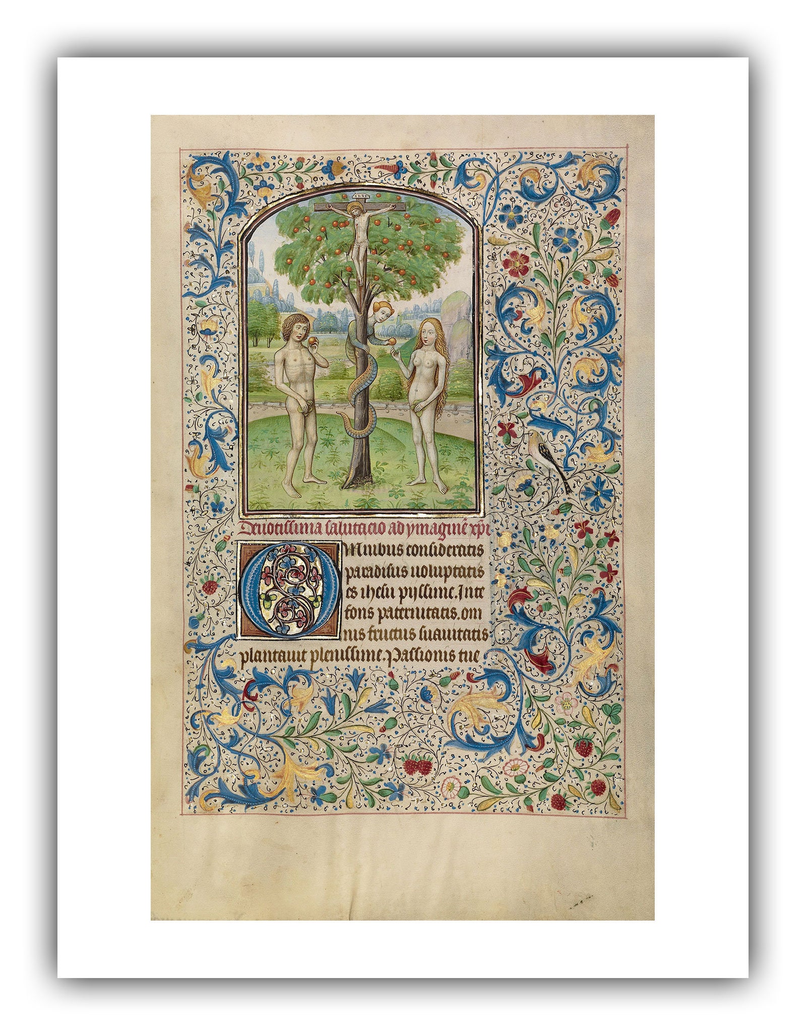 Willem Vrelant Illumination : Adam and Eve Eating the Forbidden