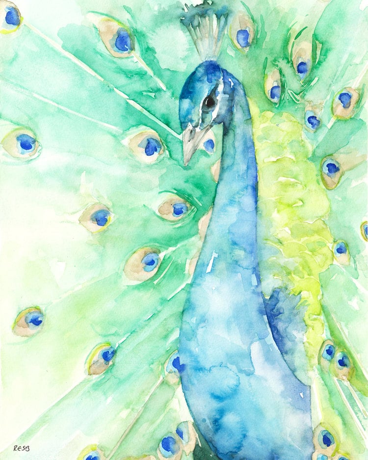 孔雀の絵 - オリジナルの水彩画からのプリント、「虹色」、鳥、孔雀の