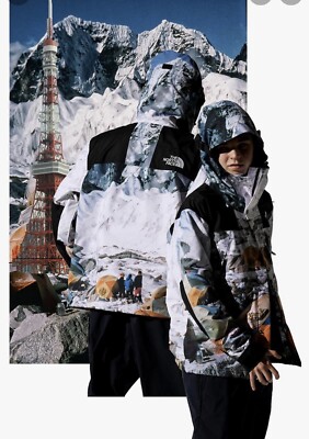 The North Face x Invincible Mountain Jacket | eBay