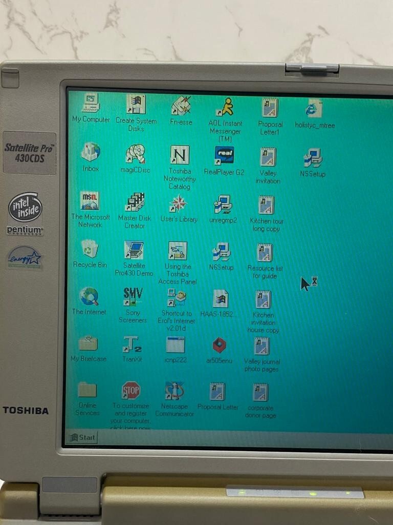 Dyna Book Satellite Pro 430/1.3 Window95