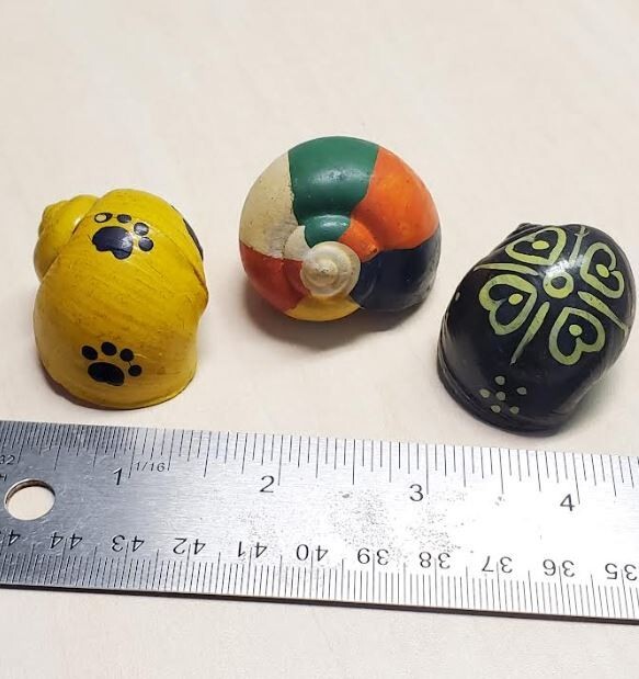 3 RANDOM Painted Hermit Crab Shell Turbo Novelty Aprox 1 ¼