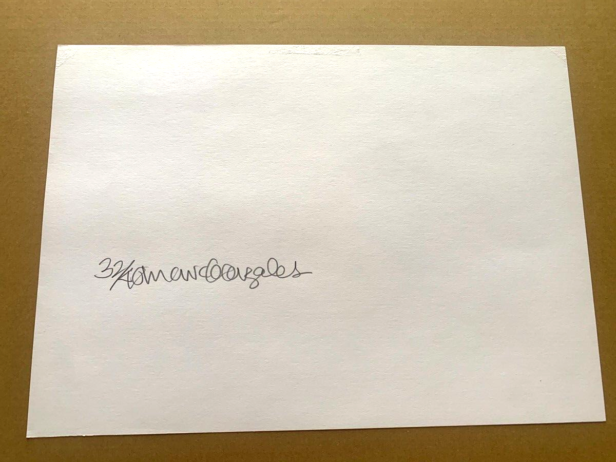 Gonz Mark Gonzales Art Screen Print 12