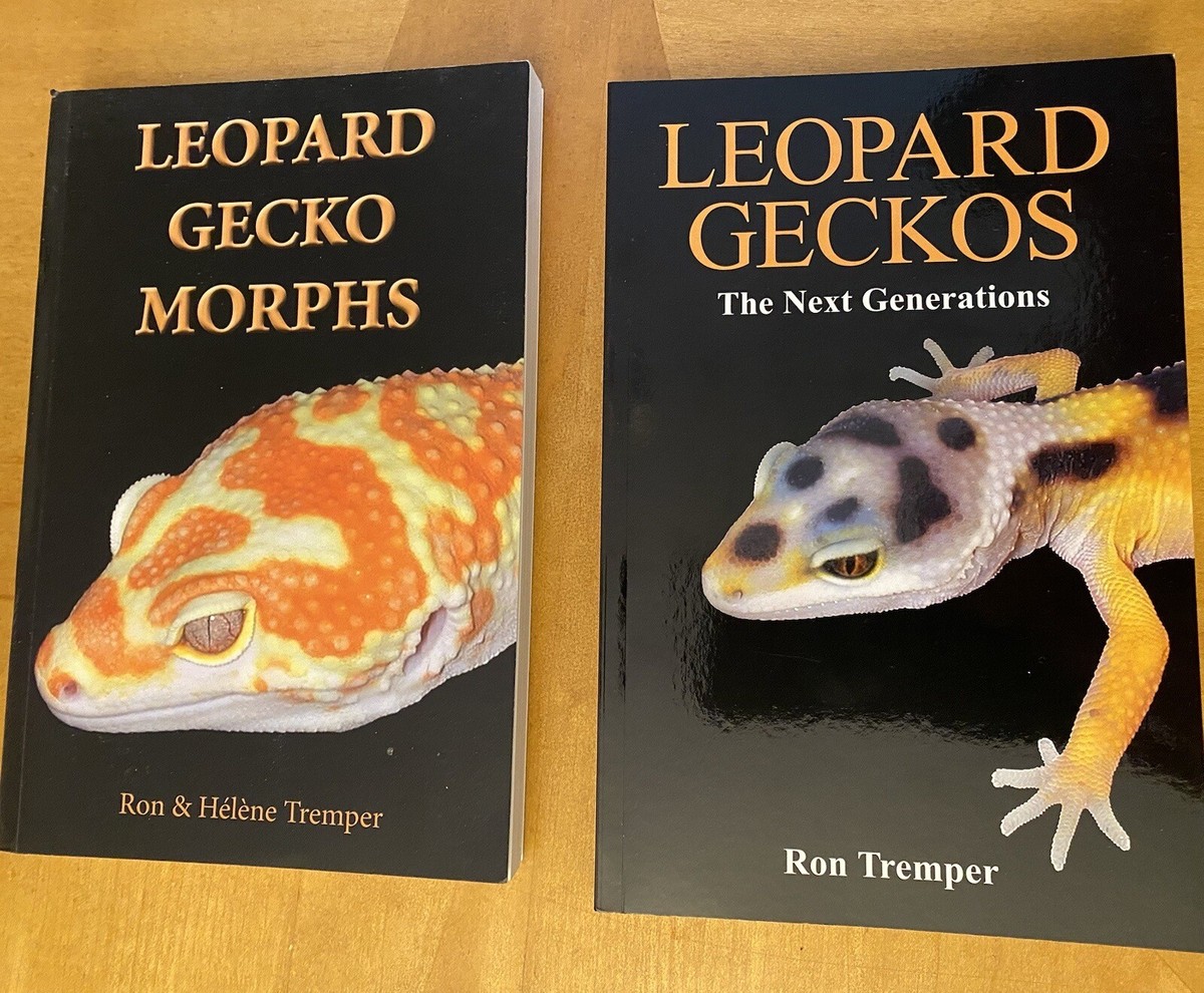 Leopard Gecko Morphs And Leopard Geckos The Next Generation By Ron
