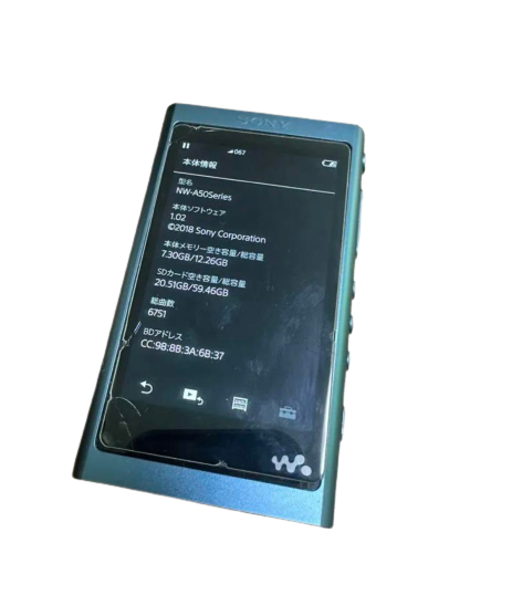 Sony NW-A55 FGO Fate/Grand order Limited Walkman Very Good | eBay