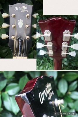 Orville by Gibson HB W/PU byギブソン Orville By Gibson Hb W/Pu