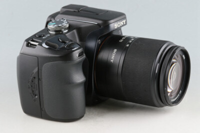 Sony α100 + DT 18-70mm F/3.5-5.6 Macro Lens *Japanese version only