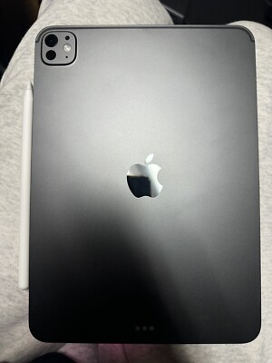 Apple iPad Pro M4. 256GB, Wi-Fi, 11in - Space Black | eBay