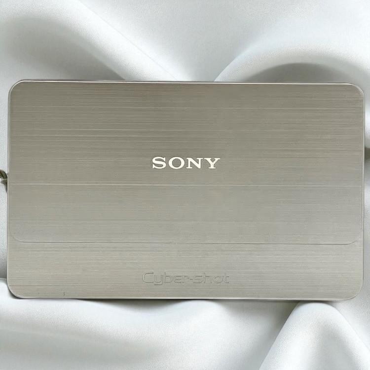 EXC+5] Sony Cyber-shot DSC-T700 Silver 4.0x Optical Zoom Japanese