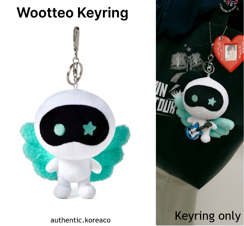 BTS JIN Wootteo Keyring 15*14 cm +Track **Paid US-duty | eBay