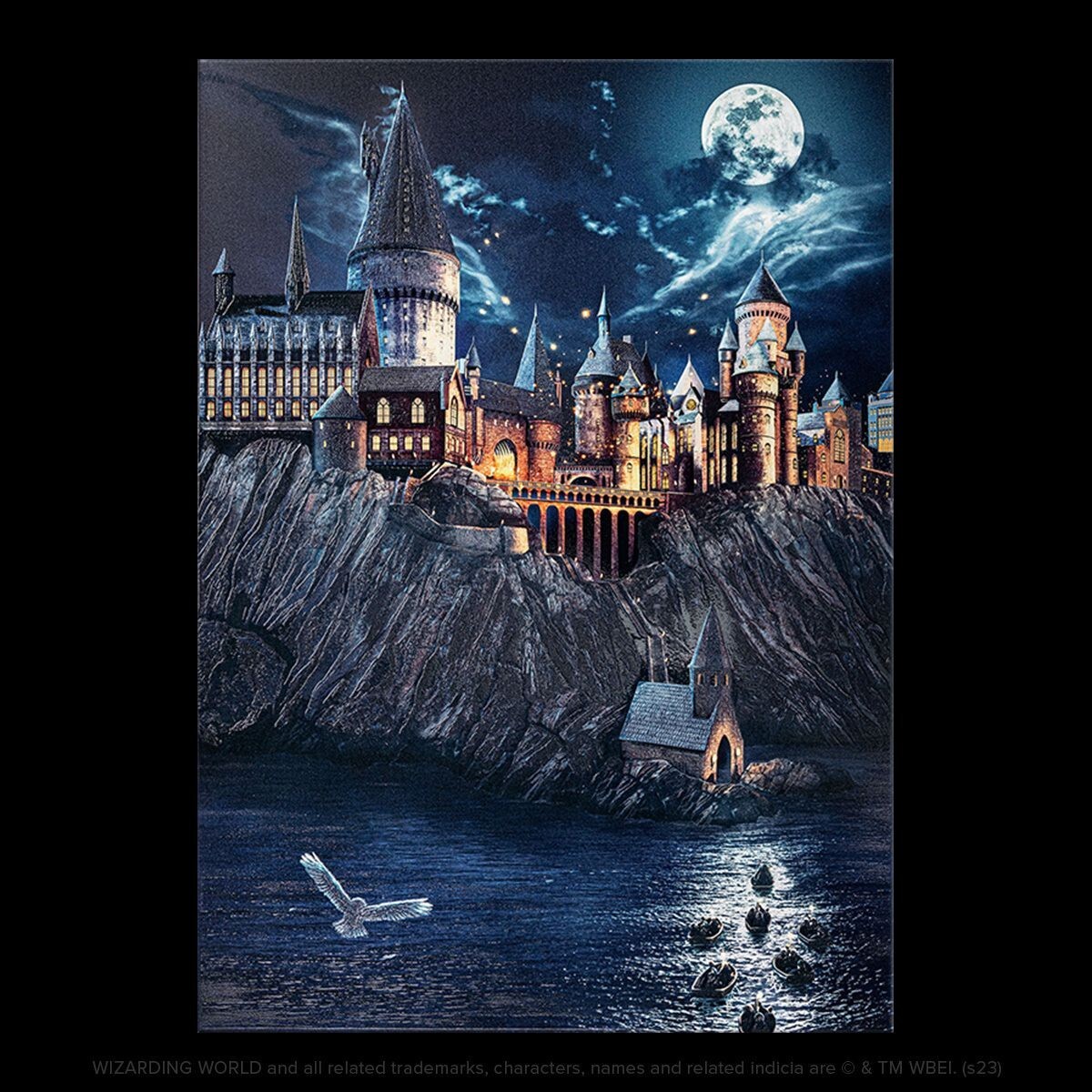 Displate Limited Edition- Harry Potter - Back to Hogwarts - X/1500