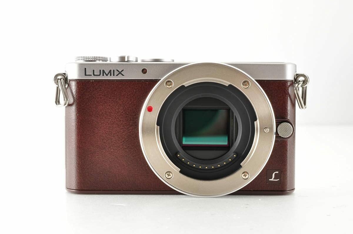 Panasonic DMC-GM1SK-T Mirrorless Digital SLR Camera Lumix GM1S
