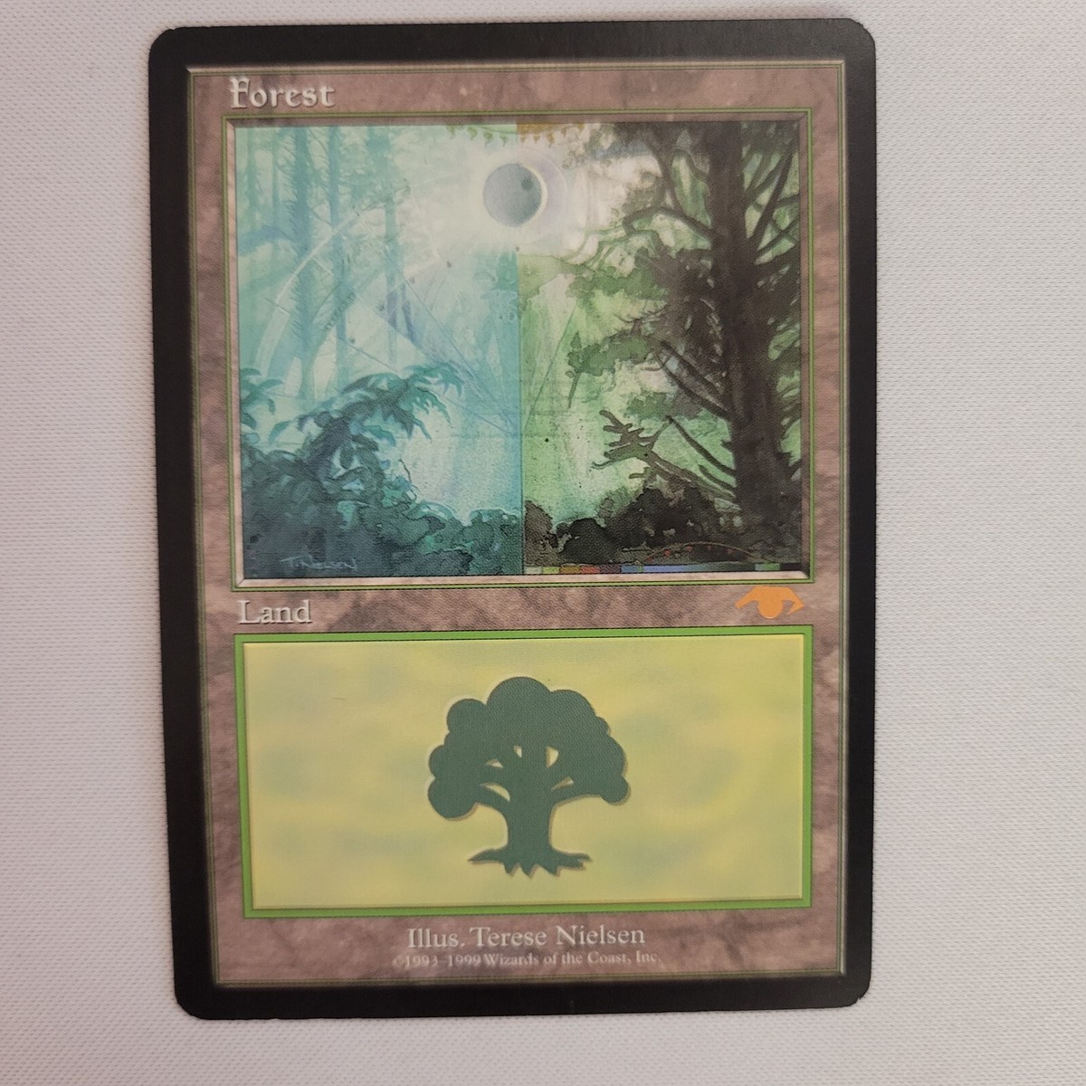 Guru Forest English Land MTG Magic the Gathering | eBay
