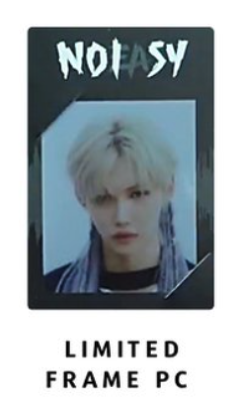 Stray kids Felix NOEASY NOISY Official Photo card PC photocard