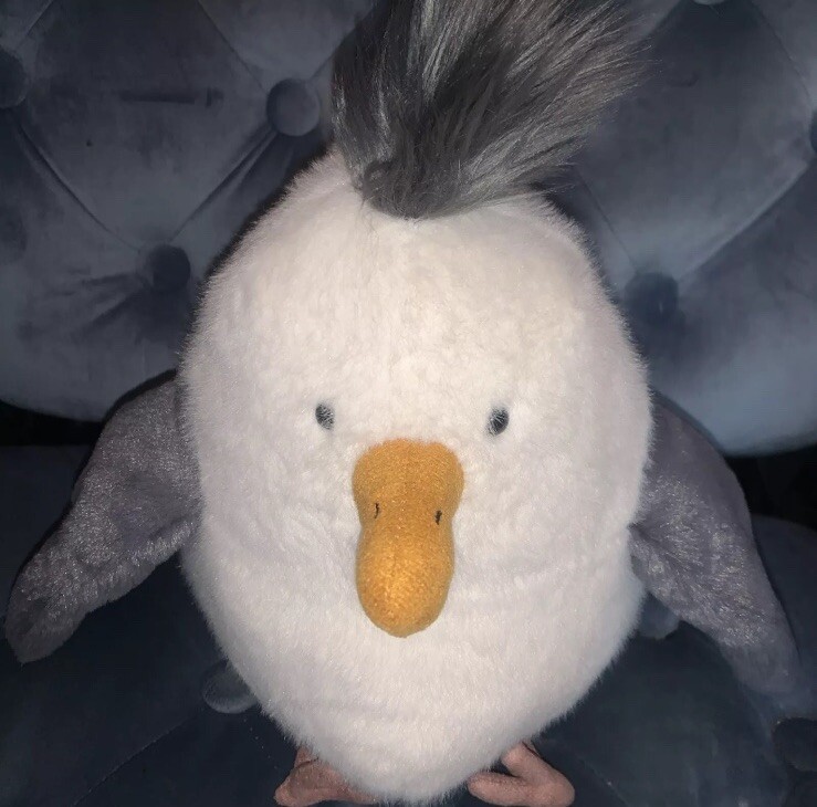 Jellycat Chip The Seagull BNWT ☀️ 🌊 🐦 🌊☀️Last Piece | eBay