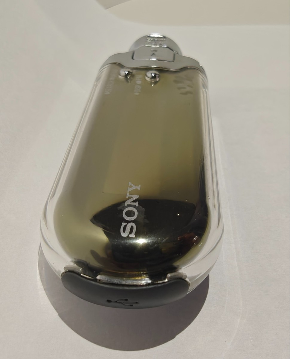 Sony Walkman NW-E507 Silver ( 1 GB ) Digital Media Player for sale