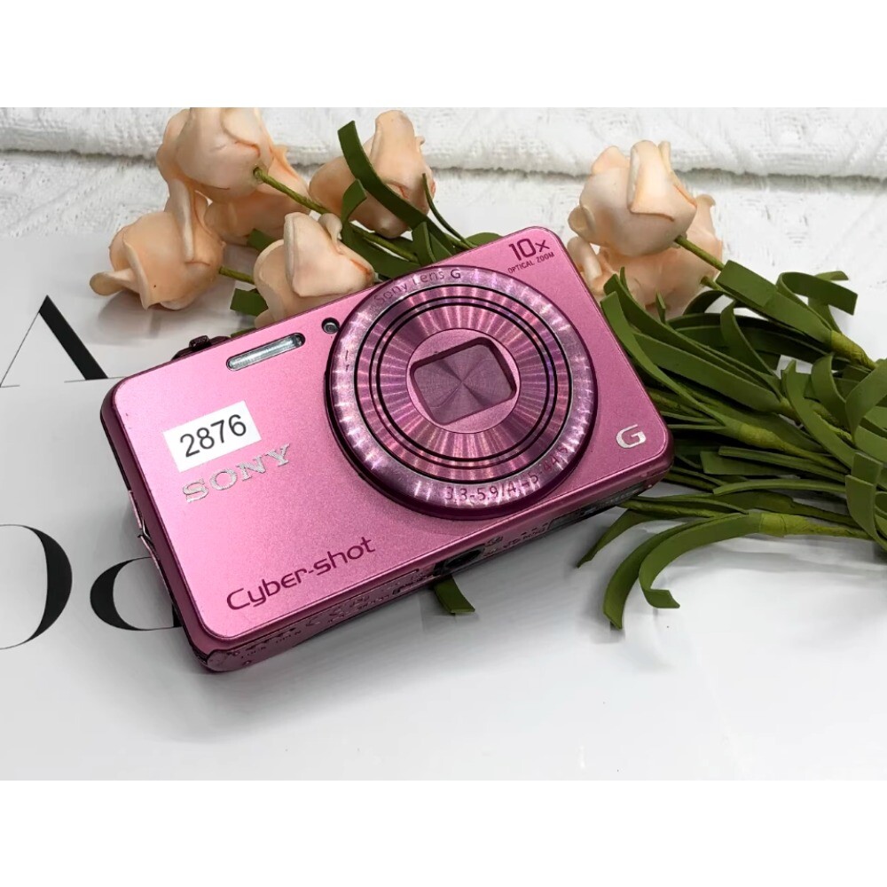 Sony Cyber-shot DSC-WX200 Digital Camera 18 Megapixel 10.0x