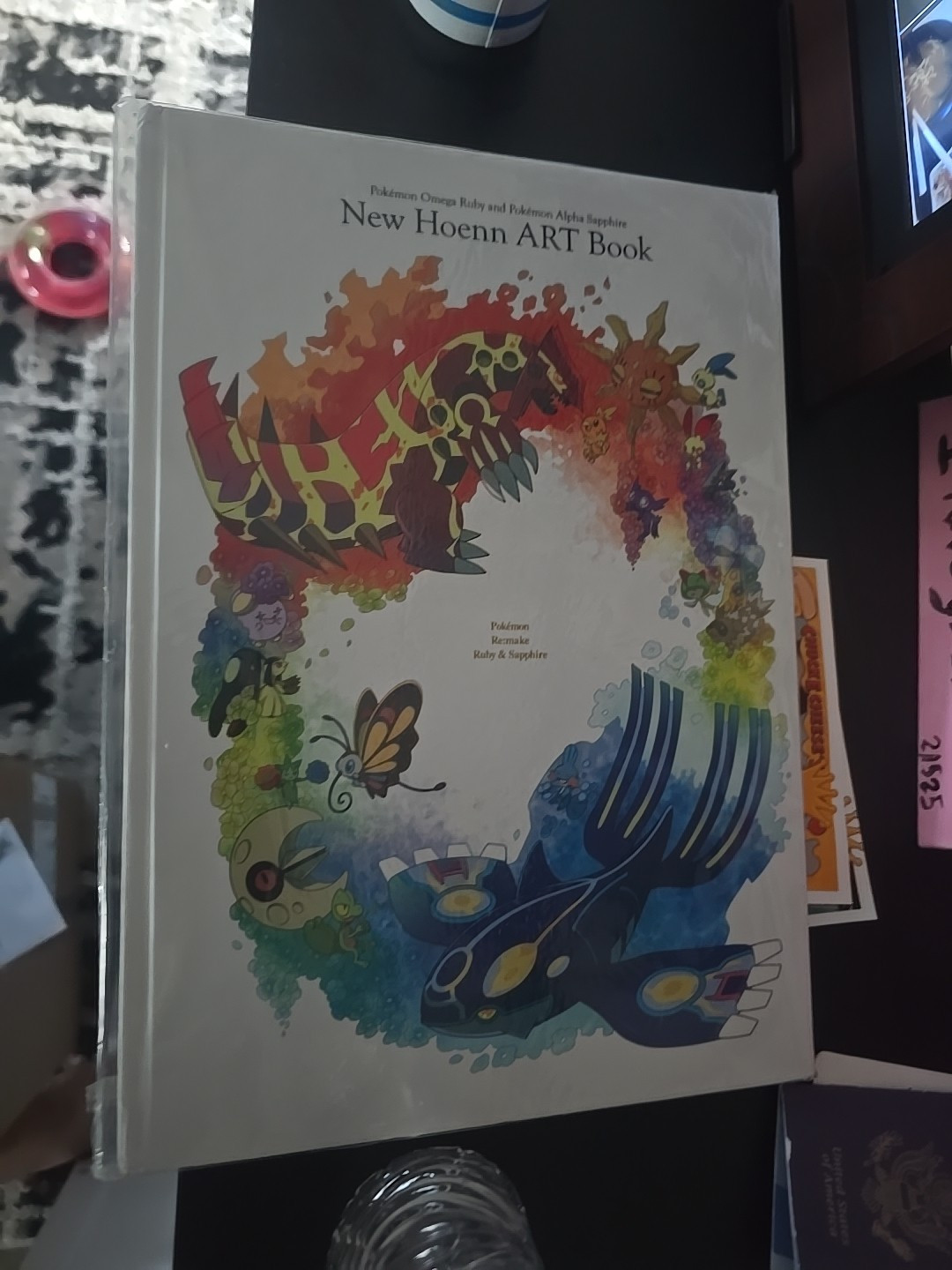 Art book of New Hoenn Art Book: Pokemon Center Limited Omega Ruby