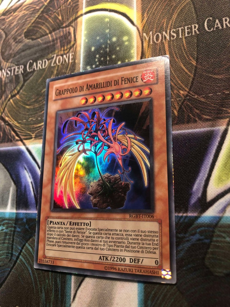 PHOENIXIAN CLUSTER AMARYLLIS *** (ITALIAN) SUPER RARE RGBT-EN006