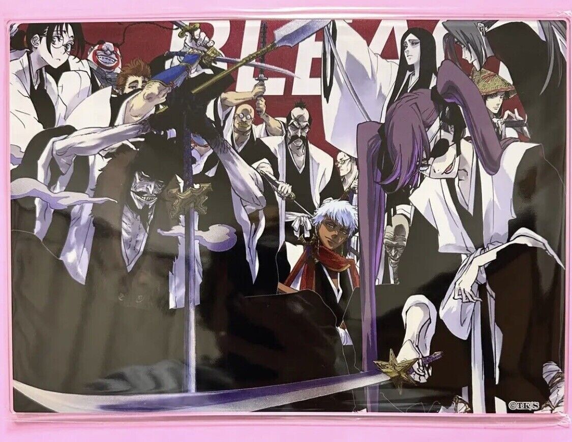 Bleach First Thirteen Court Guard Squads Acrylic Plate