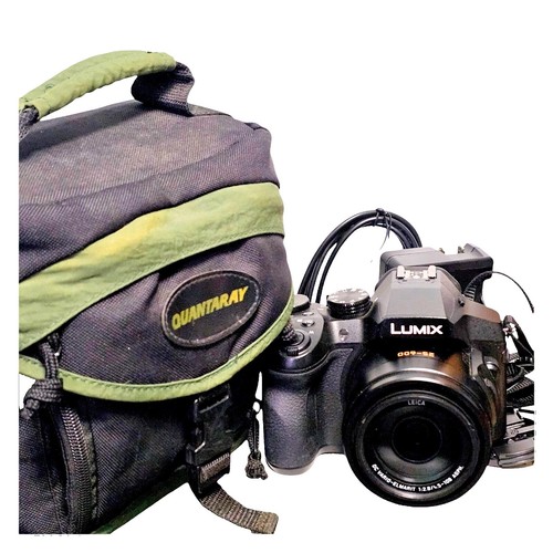 Panasonic Lumix DMC-FX77 Gold 24mm Wide 12.5MP Digital Camera