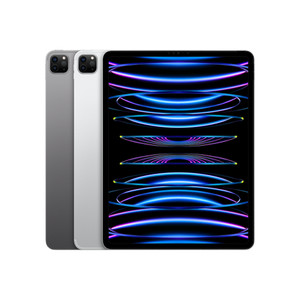 iPad Pro 6th Generation 512GB | eBay