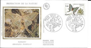 Graellsia Isabellae | eBay