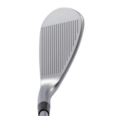 NEW Kasco Dolphin Wedge DW-123 NSPRO Zelos6 46 | eBay