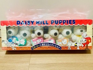 Daisy Hill Puppies | eBay