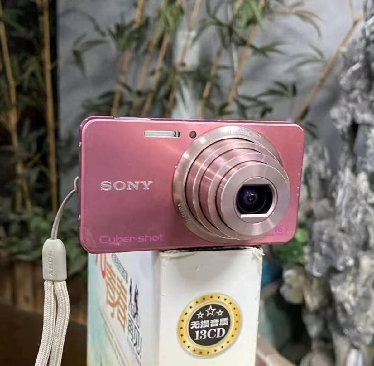 SONY Cyber-shot DSC-W570 Pink 5x Zoom Digital Camera + Battery