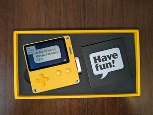 Panic Playdate | eBay