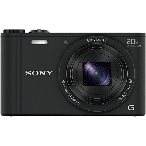 Sony Cyber-shot DSC-WX350 Digital Camera 18.2MP 20x Optical Zoom