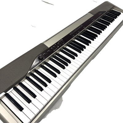 Casio Privia PX-100 Keyboard 88 Keys Digital Piano + Adapter - A++