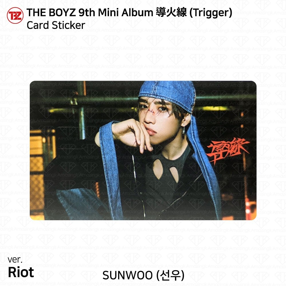 ドボイズ THE BOYZ 더보이즈 New ニュー チャニ トレカ セット 【公式