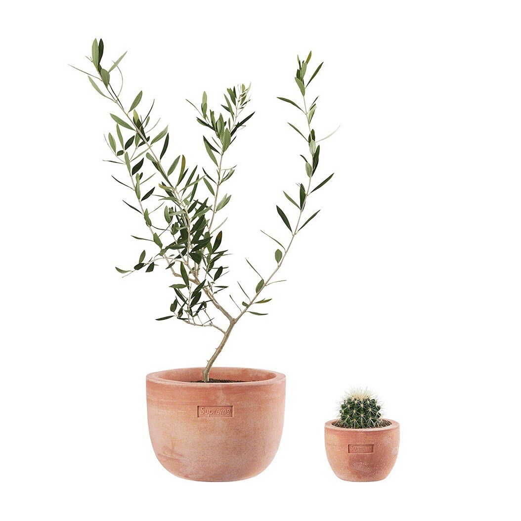 SUPREME/ POGGI UGO TERRACOTTA PLANTER POT Set large and small SS22
