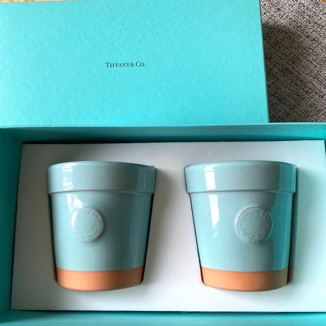 Tiffany & Co. Flower pot terracotta 2set | eBay