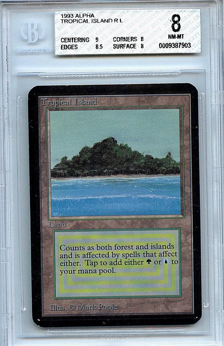 mtg Isola Tropicale 2 Taiga 1 繰り返す悪夢 1 mtg Isola Tropicale 2