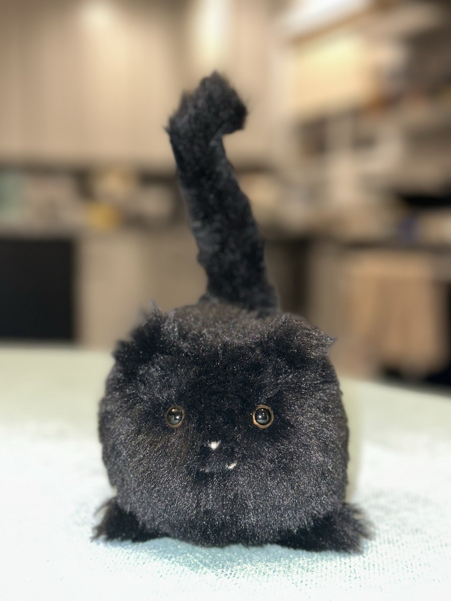 Retired] Jellycat Black Kitten Caboodle NWT with blue storage bag