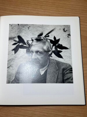 Irving Penn Portraits Magdalene Keaney Irving Penn Portraits