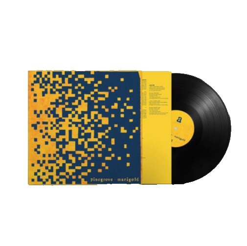 Pinegrove Vinyl | eBay