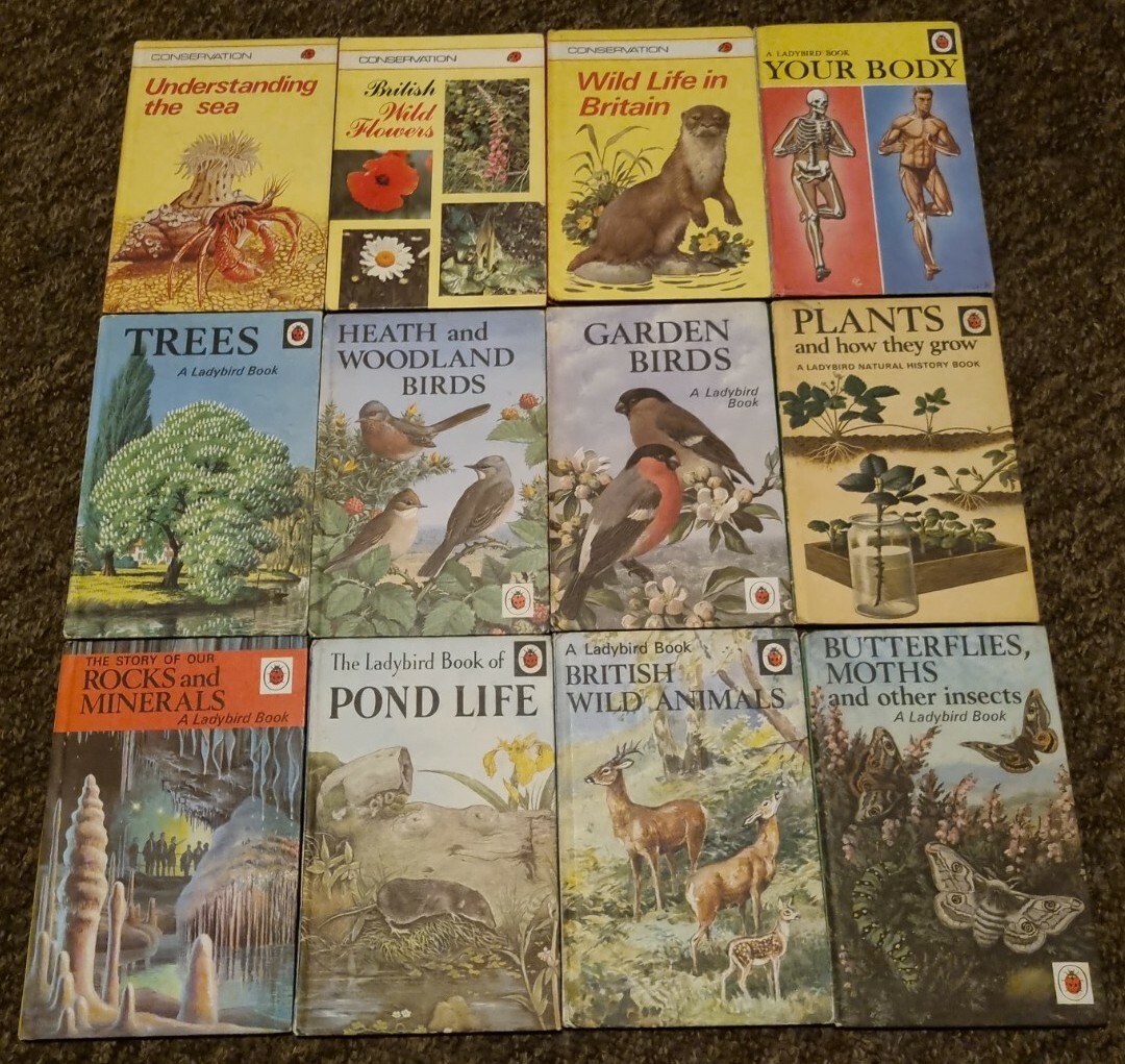 Vintage Ladybird Books Nature Series 536 651 and 727 12 matt Books
