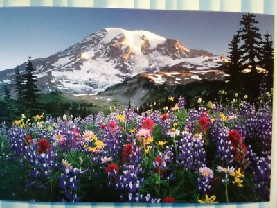 アート・デザイン・音楽 MAZAMA (Legend of the Pacific Northwest