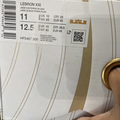 Size 11 Nike LeBron 21 Aragonite Jade Ice Denim Lebron James