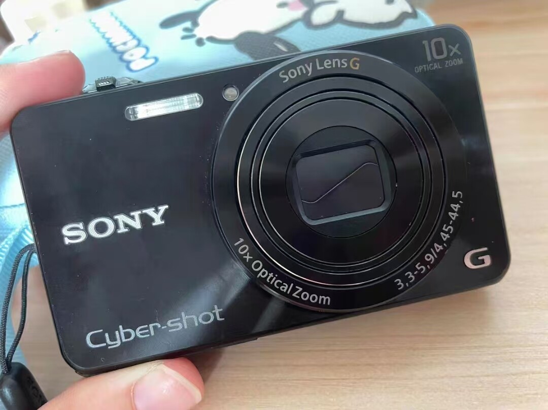 Sony Cyber-Shot DSC-WX220 18.2 MP Digital Camera 10X Optical Zoom